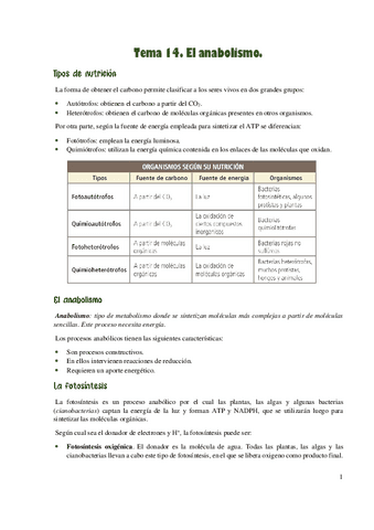Anabolismo.pdf