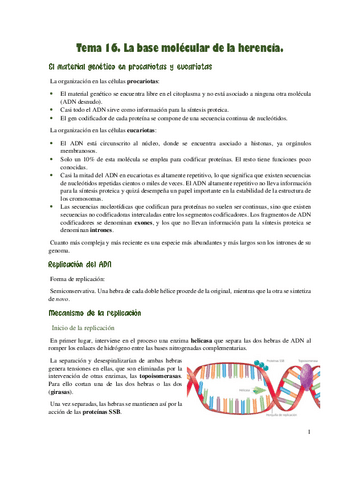 Base-molecular-de-la-herencia.pdf