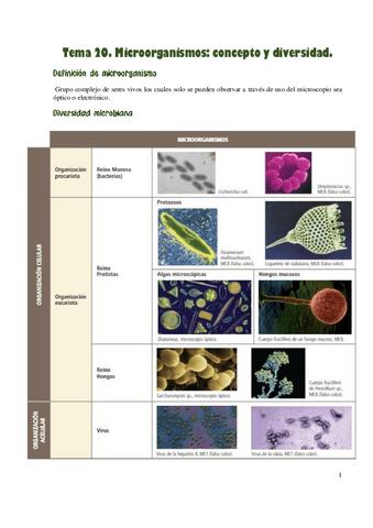 Microorganismos-concepto-y-diversidad.pdf