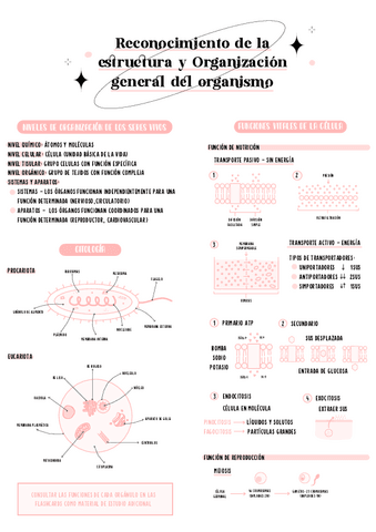 TM1-Reconocimiento-de-la-estructura-y-organizacion-del-organismo.pdf