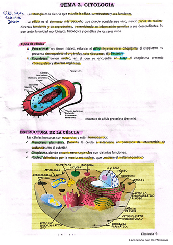 Tema-2-CITOLOGIA.pdf