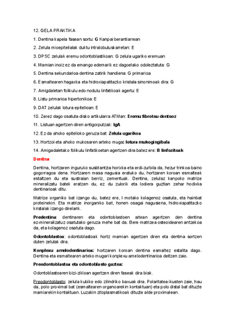 12.-gela-praktika.docx.pdf