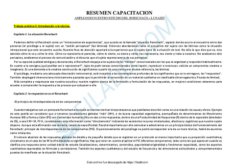 RESUMEN-CAPACITACION-CAMI.pdf