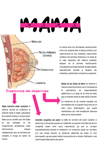 Patologia-Mama.pdf