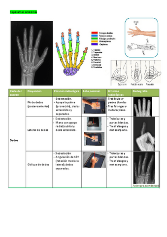 proyecciones-radiologia-simple.pdf