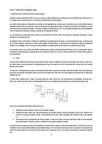Tema-4-virologia.pdf
