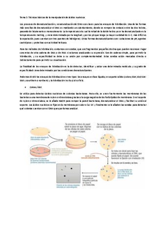 Tema-3-ing.pdf
