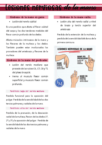 LESIONES-NERVIOSAS-DE-LA-MANO.pdf