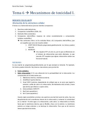 Tema 6.pdf