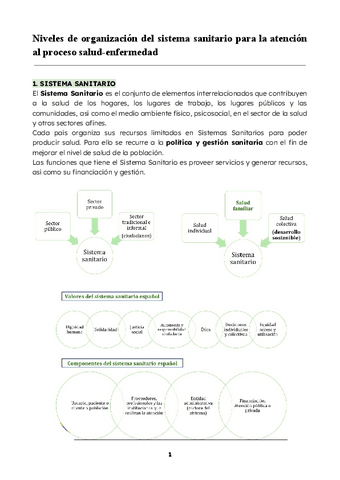 Niveles-de-organizacion-del-sistema-sanitario-para-la-atencion-al-proceso-salud-enfermedad.pdf