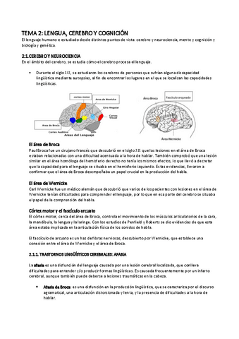 Tema-2.-Lenguaje-cerebro-y-cognicion.pdf