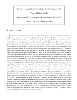 TEMA 2.pdf