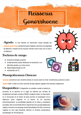 Neisseria-Gonorrhoeae.pdf