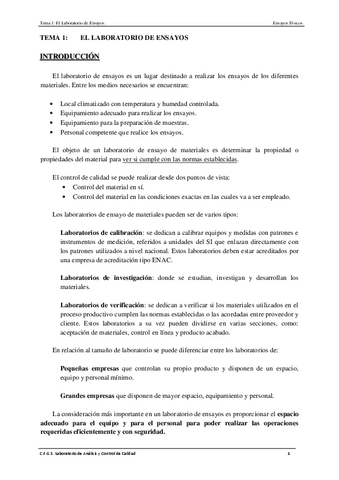 TEMA-1.-EFI-2o-LACC.pdf