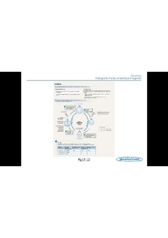 Todo-el-temario-fisiologia-humana-14.pdf