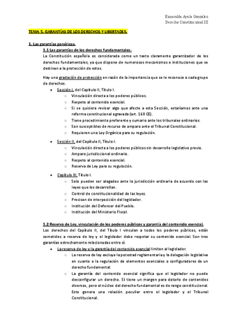 T5. Garantías de los Derechos y Libertades.pdf
