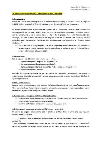 T8. Tribunal Constitucional y Derechos Fundamentales.pdf