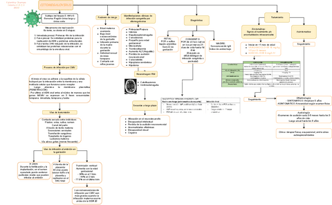 Citomegalovirus.pdf