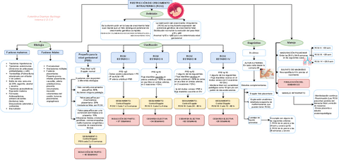 RCIU.pdf