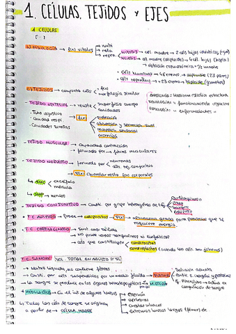 TEMA-1.-LA-CELULA-subrayado.pdf