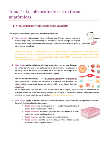 Tema-1-localizacion-de-estructuras-anatomicas.pdf