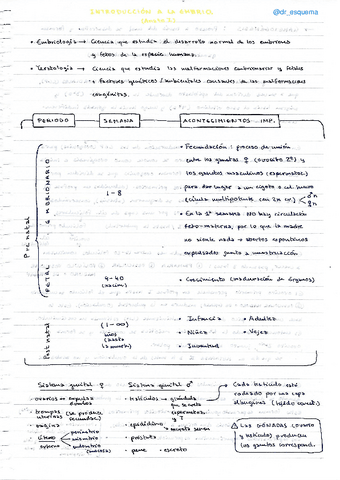 Embriologia-resumen.pdf