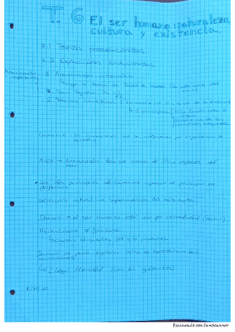 T6-apuntes-clase.pdf