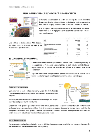 microbiologia-marina-apunts-tema-2.pdf