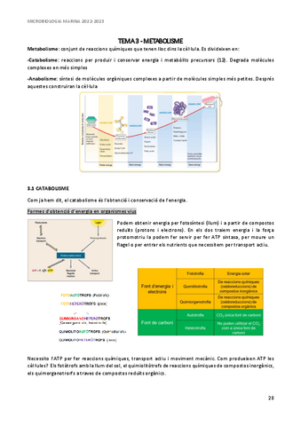 microbiologia-marina-apunts-tema-3.pdf