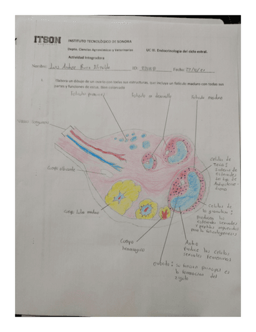 Actividad-Integral-ciclo-estral.pdf