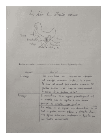 Actividades-Practica-9.pdf