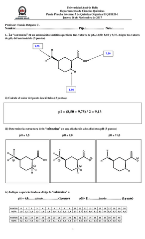 PAUTASOLEMNE3QUI120-1SEMPRIM201716112017.pdf