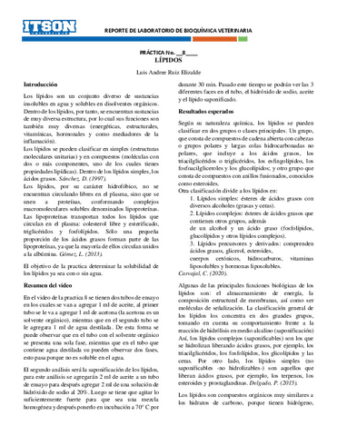 Reporte-practica-8-LIPIDOS.pdf