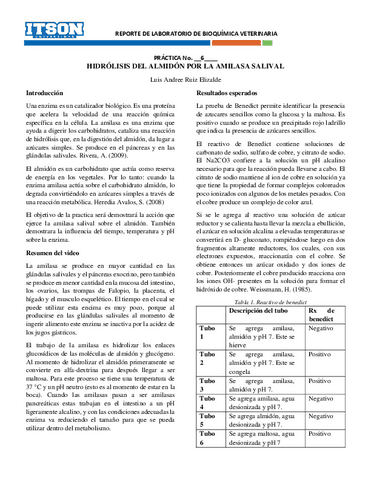 Reporte-practica-6-HIDROLISIS-DEL-ALMIDON-POR-LA-AMILASA-SALIVAL.pdf