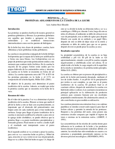 Reporte-practica-5-PROTEINAS-AISLAMIENTO-DE-LA-CASEINA-DE-LA-LECHE.pdf