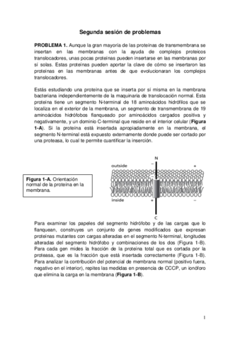 Segunda sesión problemas.pdf