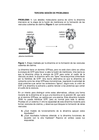 Tercera sesión problemas.pdf