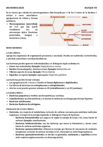 BLQ7-MICROBIOLOGIA.pdf