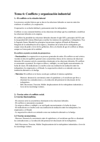 Tema-6.-Conflicto-y-organizacion-industrial.pdf