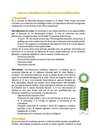 TEMA-10-CITOESQUELETO-Y-ESTRUCTURAS-NO-MEMBRANOSAS-1.pdf