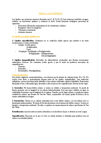 TEMA-4-LOS-GLUCIDOS-1.pdf