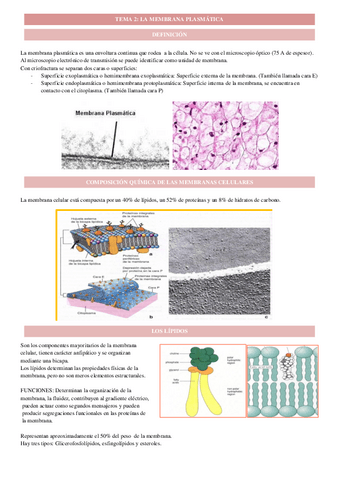 tema-2.2-cito.pdf