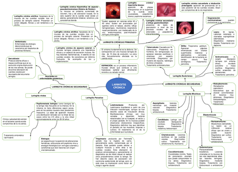Laringitis-cronica.pdf