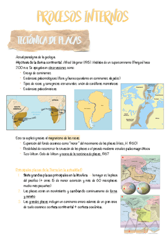 TEMA-7--Procesos-internos.pdf