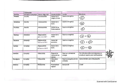 bio-t1-1bach.pdf