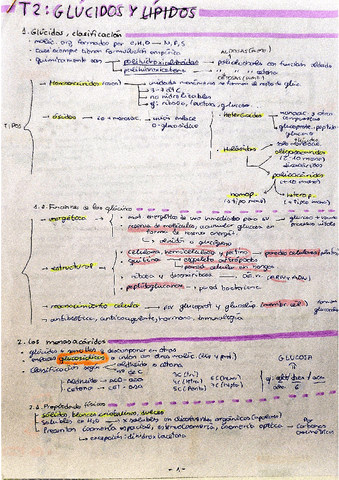 tema-2-bio-glucidos.pdf