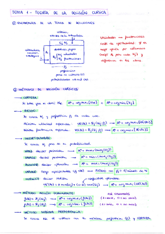 decisiones_tema_1.pdf