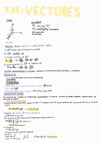 TEMA-11-VECTORES.pdf