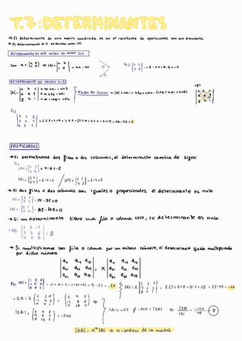 T7-DETERMINANTES.pdf