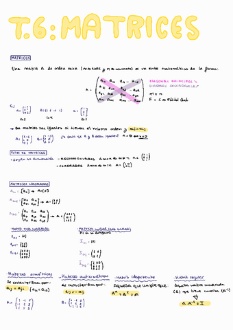 T6-MATRICES.pdf